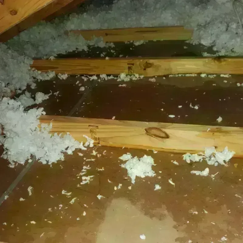 Attic Water Damage in Jefferson County, WI