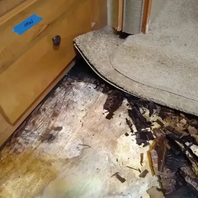 Best Wood Floor Water Damage Service in Jefferson County, WI